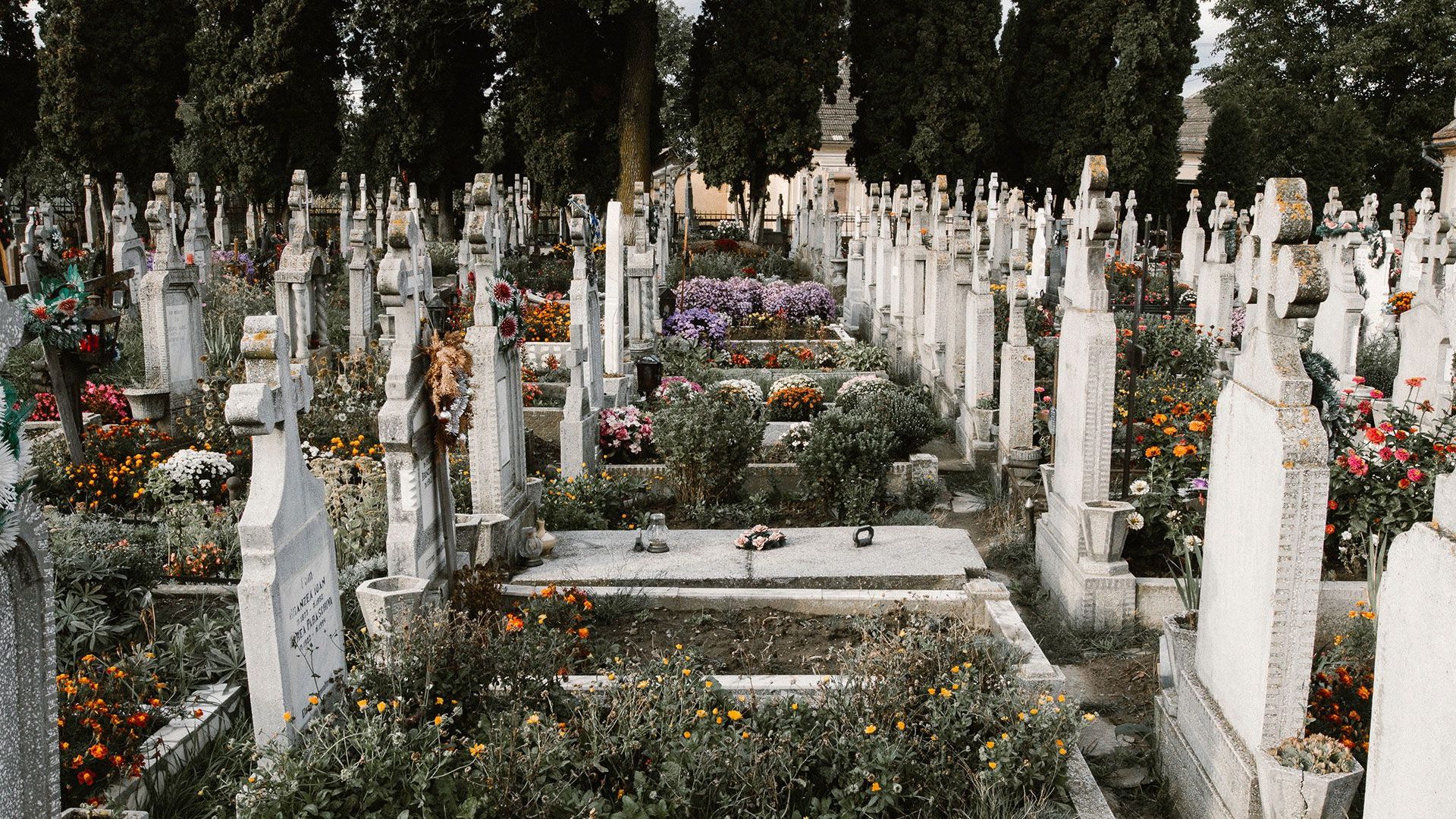 ROC ECLERC entretien des monuments fleurs tombes sépulture