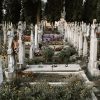 Roc Eclerc entretien des monuments fleurs tombes sépulture