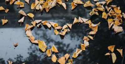 ROC ECLERC Home pompes funèbres coeur feuilles d'automne