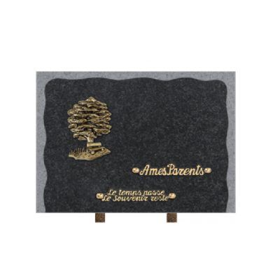 plaque-eclatee-bronze-arbre