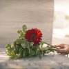 Fleurs-de-deuil-disposees-sur sepulture-©stellalevi